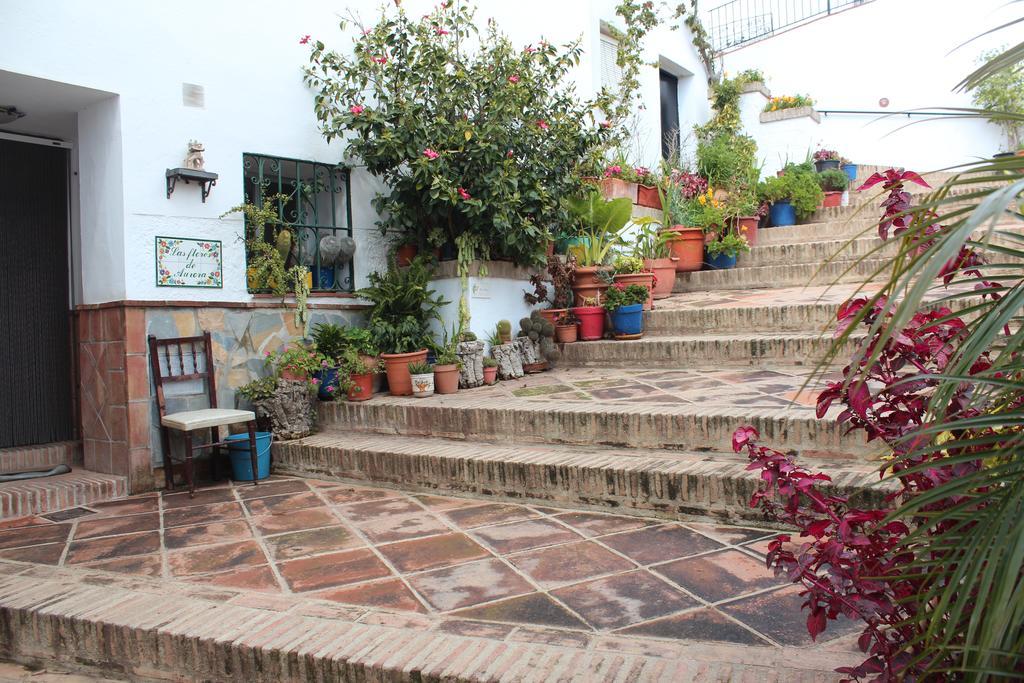 Casas Rurales Jardines Del Visir Genalguacil Extérieur photo