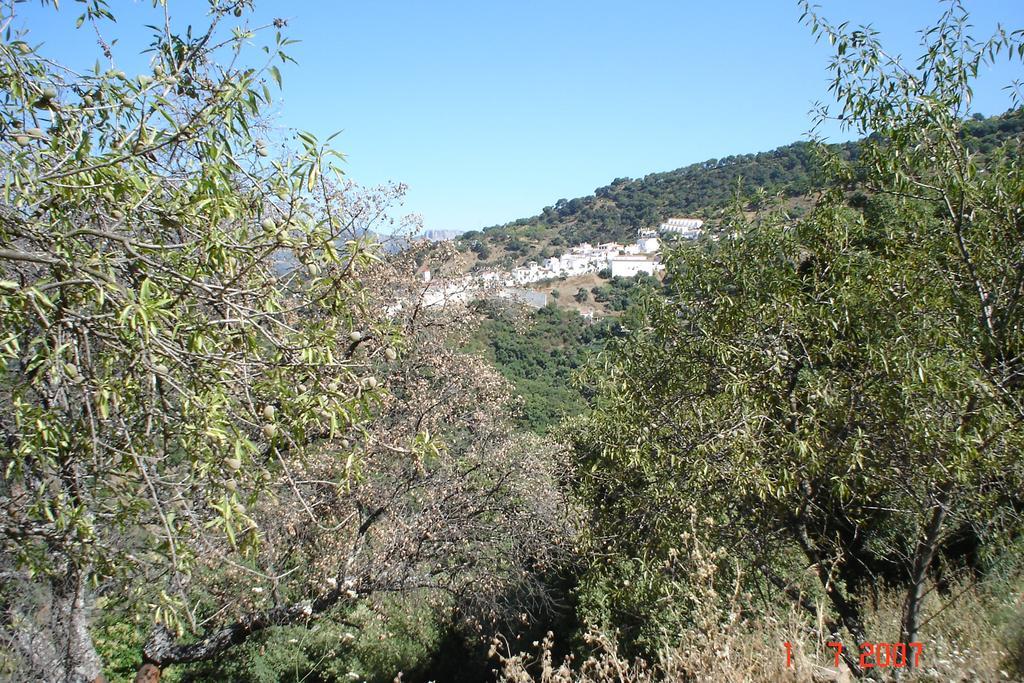 Casas Rurales Jardines Del Visir Genalguacil Extérieur photo