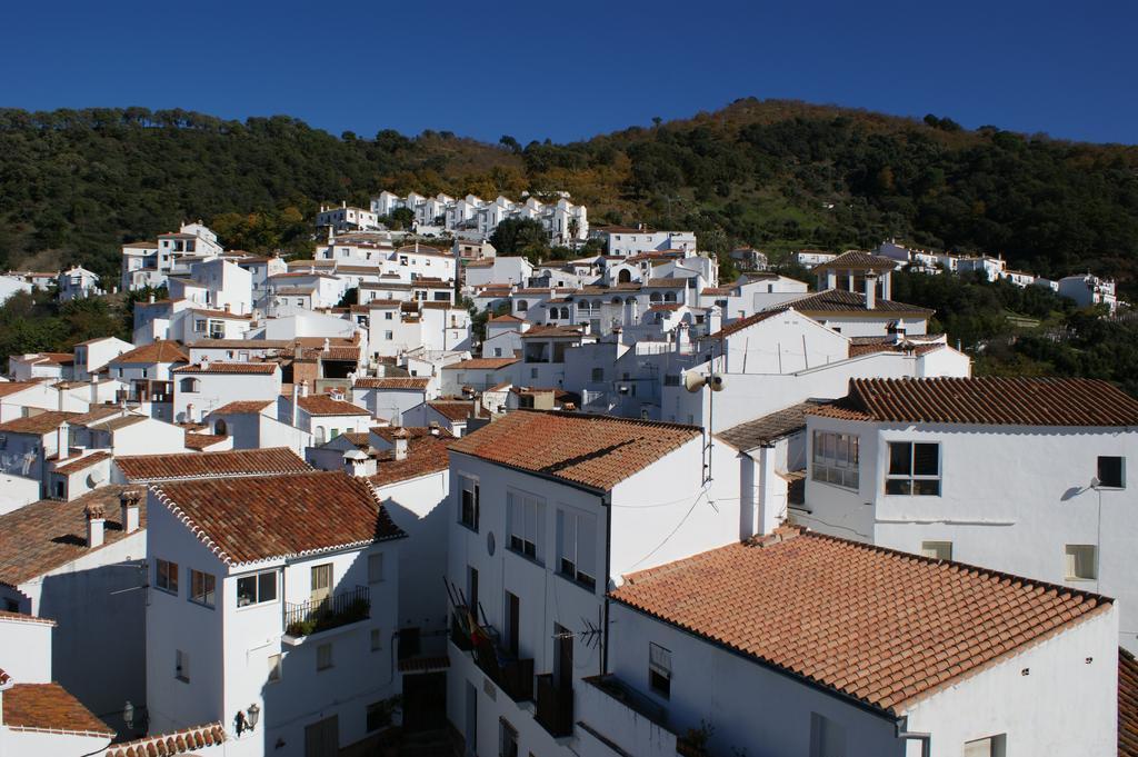 Casas Rurales Jardines Del Visir Genalguacil Extérieur photo