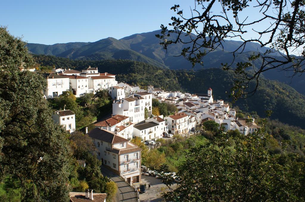 Casas Rurales Jardines Del Visir Genalguacil Extérieur photo